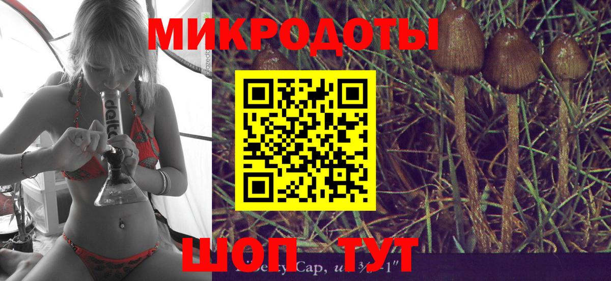 Белгород  Псилоцибиновые грибы Psilocybe  Псилоцибиновые грибы MAGIC MUSHROOMS  Вход с VPN 